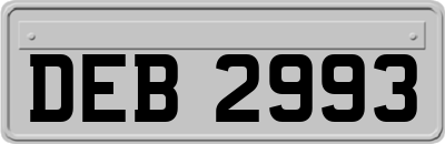 DEB2993