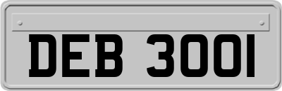 DEB3001