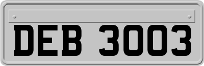 DEB3003