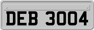 DEB3004