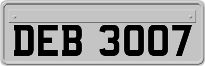 DEB3007