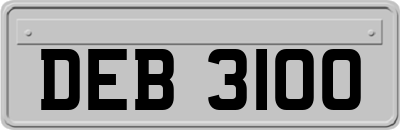DEB3100