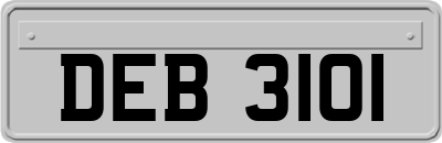 DEB3101