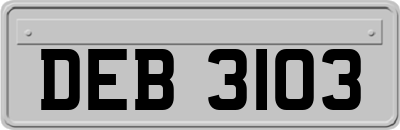 DEB3103