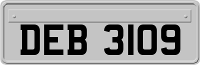 DEB3109