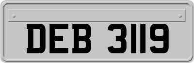 DEB3119