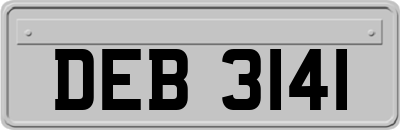 DEB3141