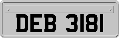 DEB3181