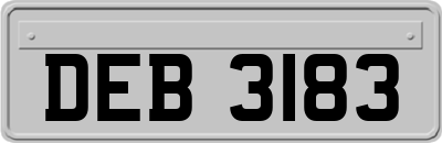 DEB3183
