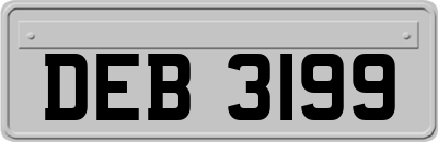 DEB3199