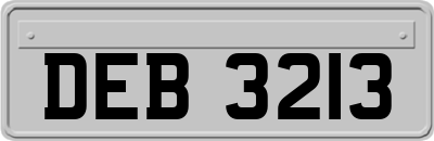 DEB3213