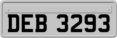 DEB3293