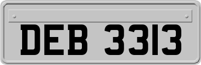 DEB3313