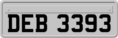DEB3393