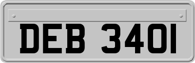 DEB3401