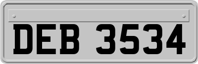 DEB3534