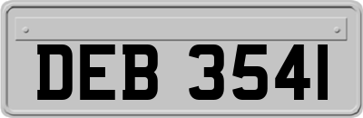 DEB3541