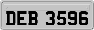 DEB3596