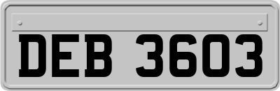 DEB3603