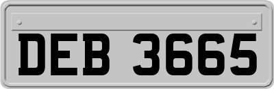 DEB3665