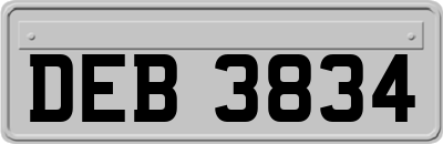 DEB3834