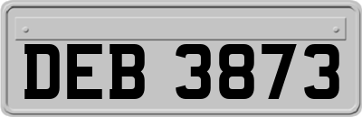 DEB3873