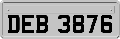 DEB3876