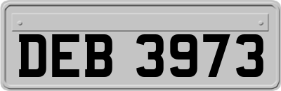 DEB3973