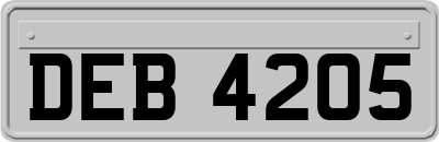 DEB4205