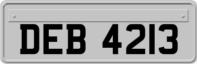 DEB4213
