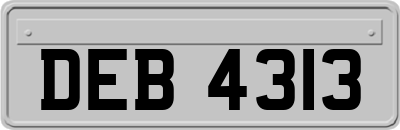 DEB4313