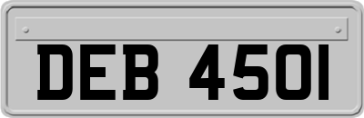 DEB4501