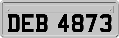 DEB4873