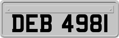 DEB4981