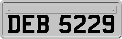 DEB5229