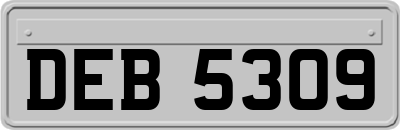 DEB5309