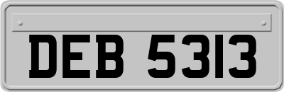 DEB5313