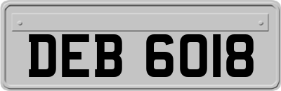 DEB6018