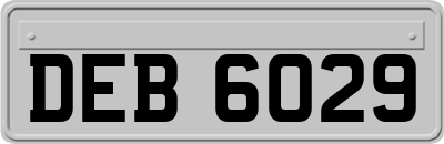 DEB6029