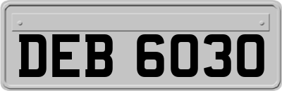 DEB6030