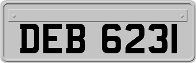DEB6231