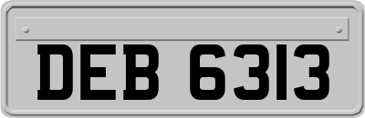 DEB6313