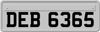 DEB6365