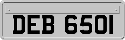 DEB6501