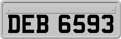 DEB6593