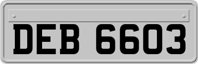 DEB6603