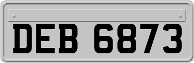 DEB6873