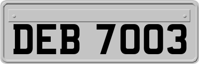 DEB7003
