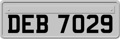 DEB7029