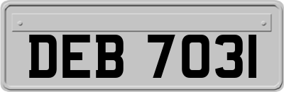 DEB7031